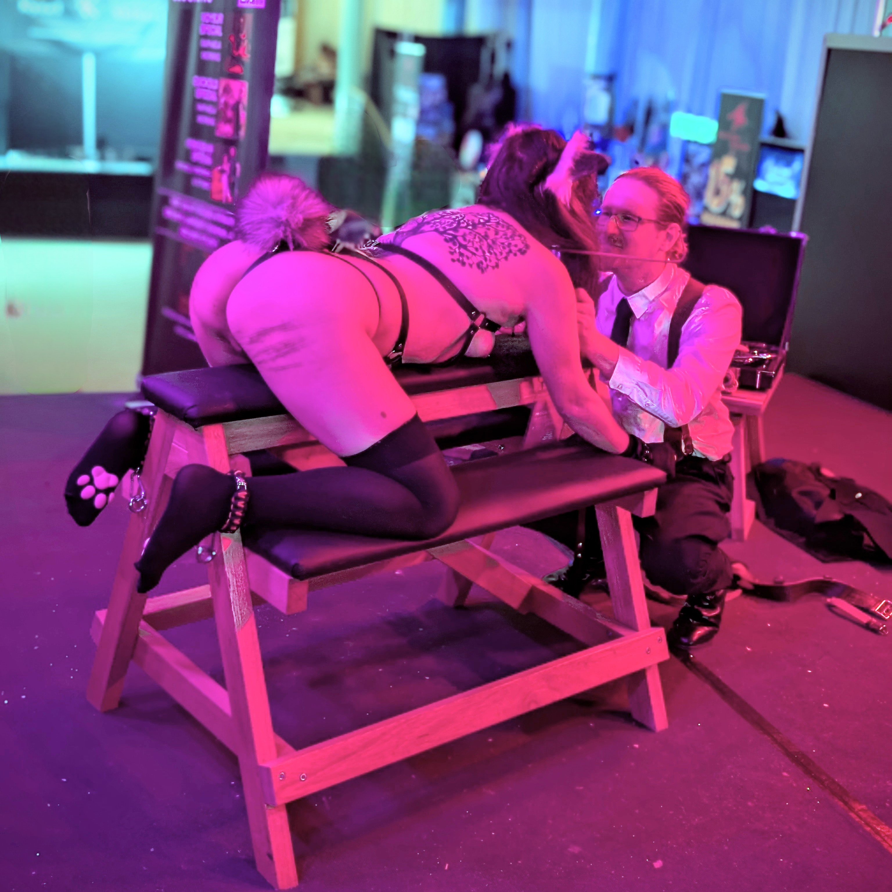 Venus Berlin 2025 performance